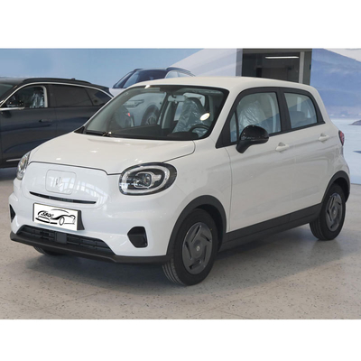 Mini Leapmotor T03 Energy Vehicles Maximum Power 40kW 54Ps Deposit Mini Electric Car